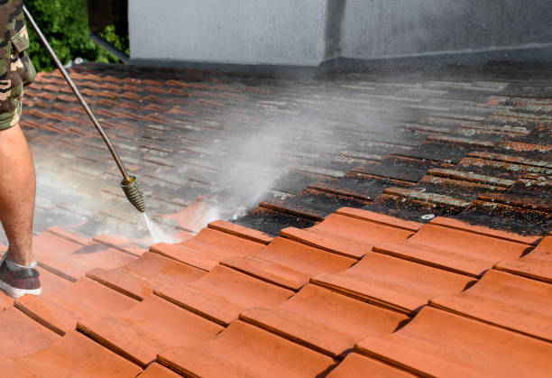 Best Roof Pressure Washing  in Fort Salonga, NY