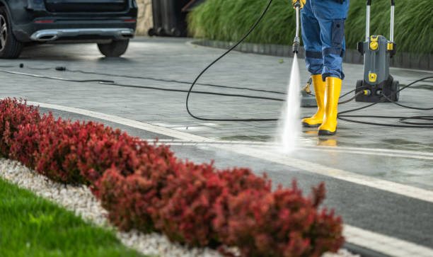 Best Local Pressure Washing Services  in Fort Salonga, NY