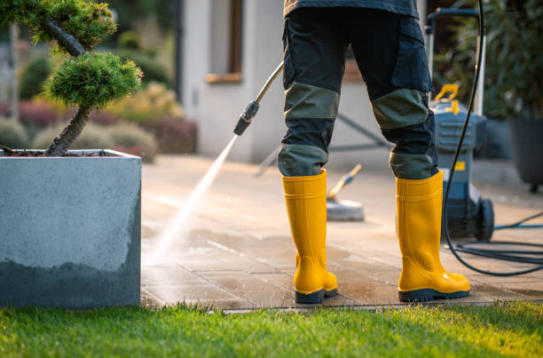 Best Exterior Home Cleaning  in Fort Salonga, NY